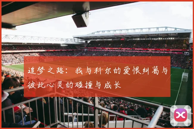 追梦之路：我与科尔的爱恨纠葛与彼此心灵的碰撞与成长