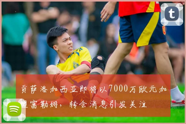 贡萨洛加西亚即将以7000万欧元加盟富勒姆，转会消息引发关注
